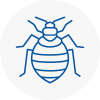Bed Bug Extermination In Rugby